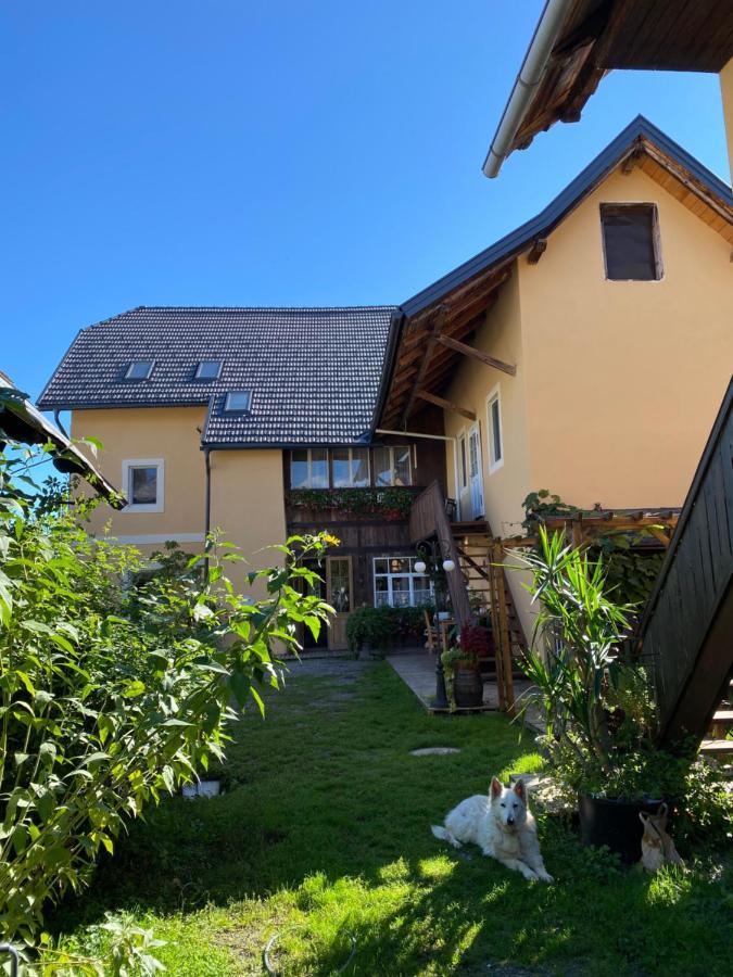Villa Theresienhof Розег Екстериор снимка